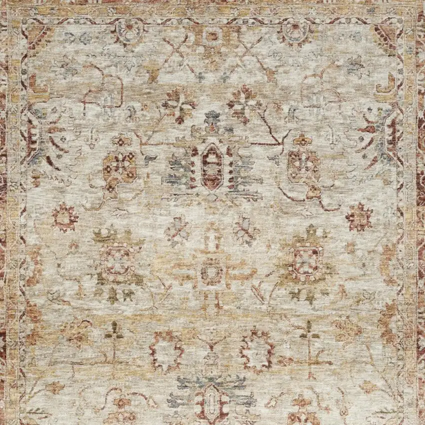 Ivory And Red Oriental Distressed Area Rug Photo 2
