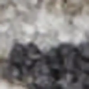 Photo of Ivory And Slate Gray Geometric Distressed Area Rug With Fringe