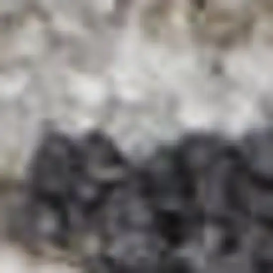 Ivory And Slate Gray Geometric Distressed Area Rug With Fringe Photo 2