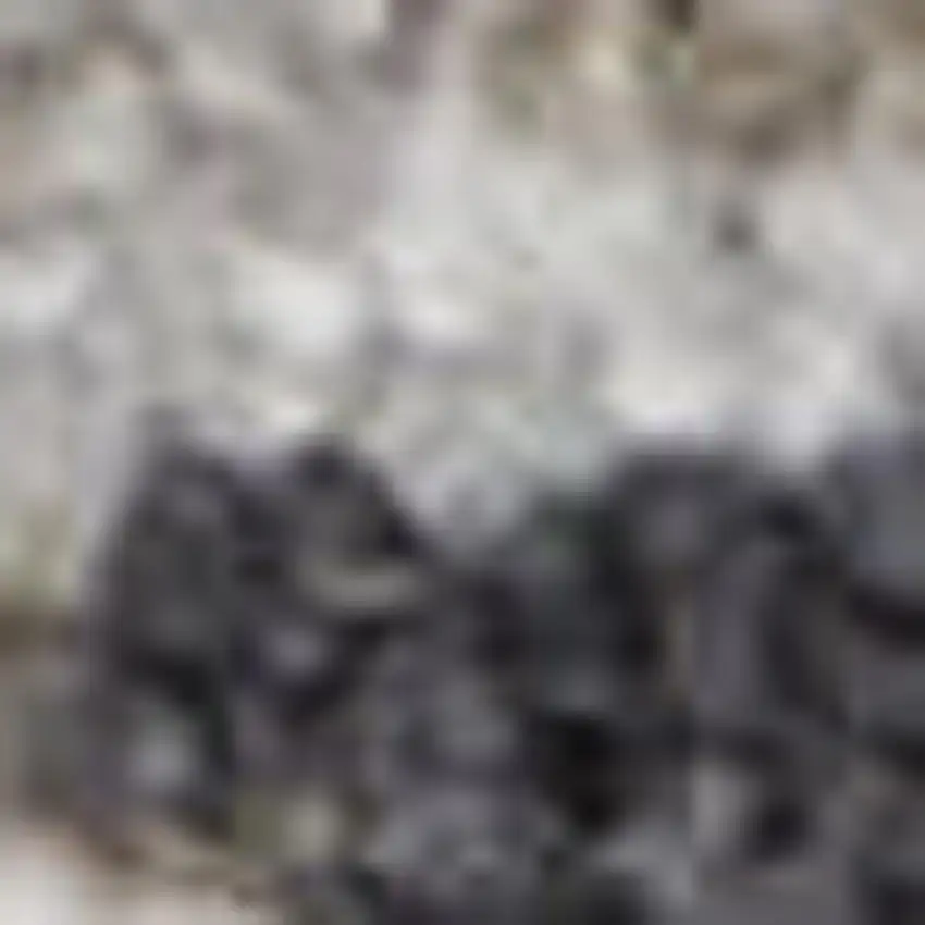 Ivory And Slate Gray Geometric Distressed Area Rug With Fringe Photo 2