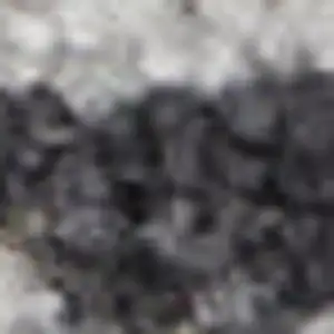 Photo of Ivory And Slate Gray Oriental Distressed Area Rug With Fringe