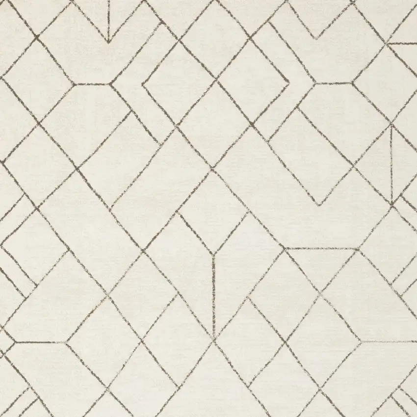 Ivory And Taupe Geometric Area Rug Photo 5
