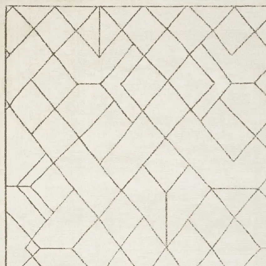 Ivory And Taupe Geometric Area Rug Photo 6