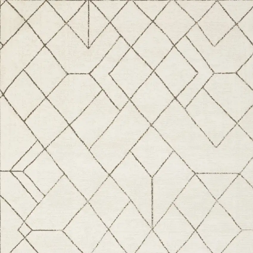 Ivory And Taupe Geometric Area Rug Photo 6