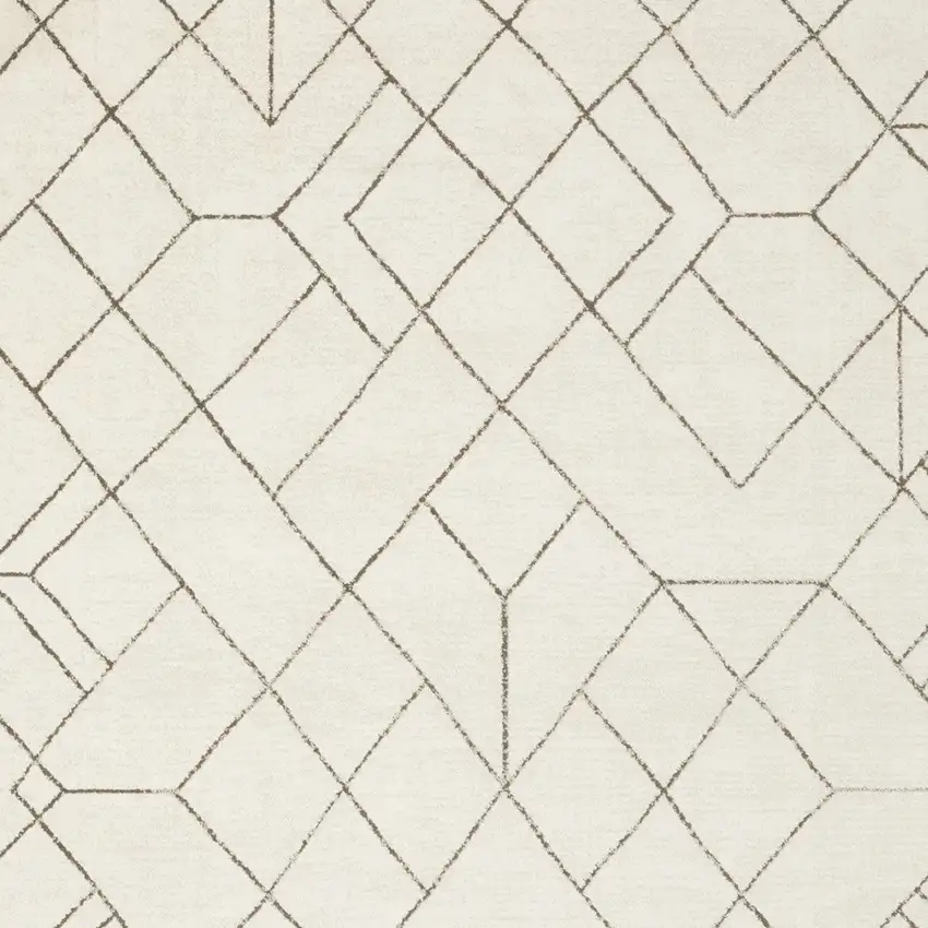 Ivory And Taupe Geometric Area Rug Photo 6