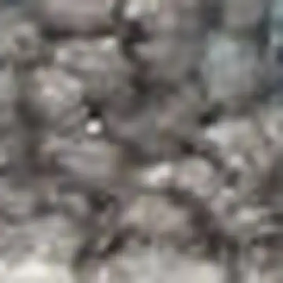 Ivory And Turquoise Botanical Leaves Area Rug Photo 2