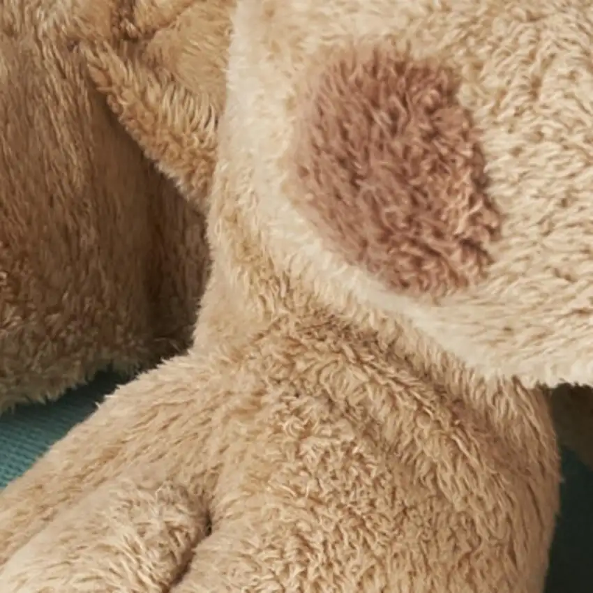 Ivory Area Rug Photo 2