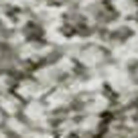 Ivory Beige And Brown Striped Washable Area Rug With UV Protection Photo 3