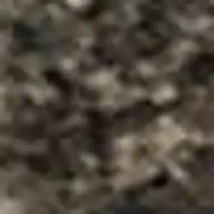 Photo of Ivory Beige And Charcoal Animal Print Washable Area Rug With UV Protection