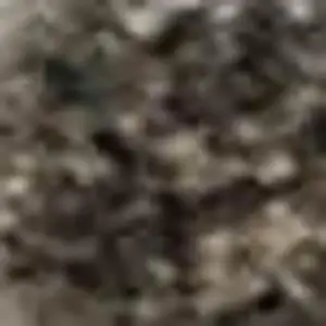 Photo of Ivory Beige And Charcoal Animal Print Washable Area Rug With UV Protection