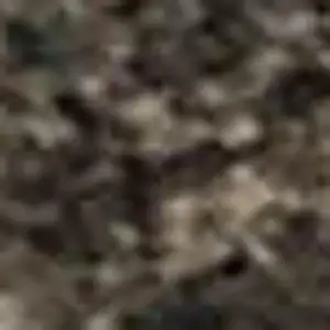 Photo of Ivory Beige And Charcoal Animal Print Washable Area Rug With UV Protection