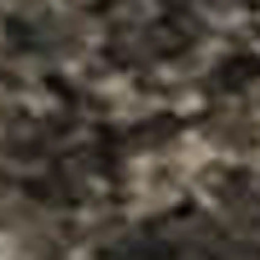 Ivory Beige And Charcoal Animal Print Washable Area Rug With UV Protection Photo 1