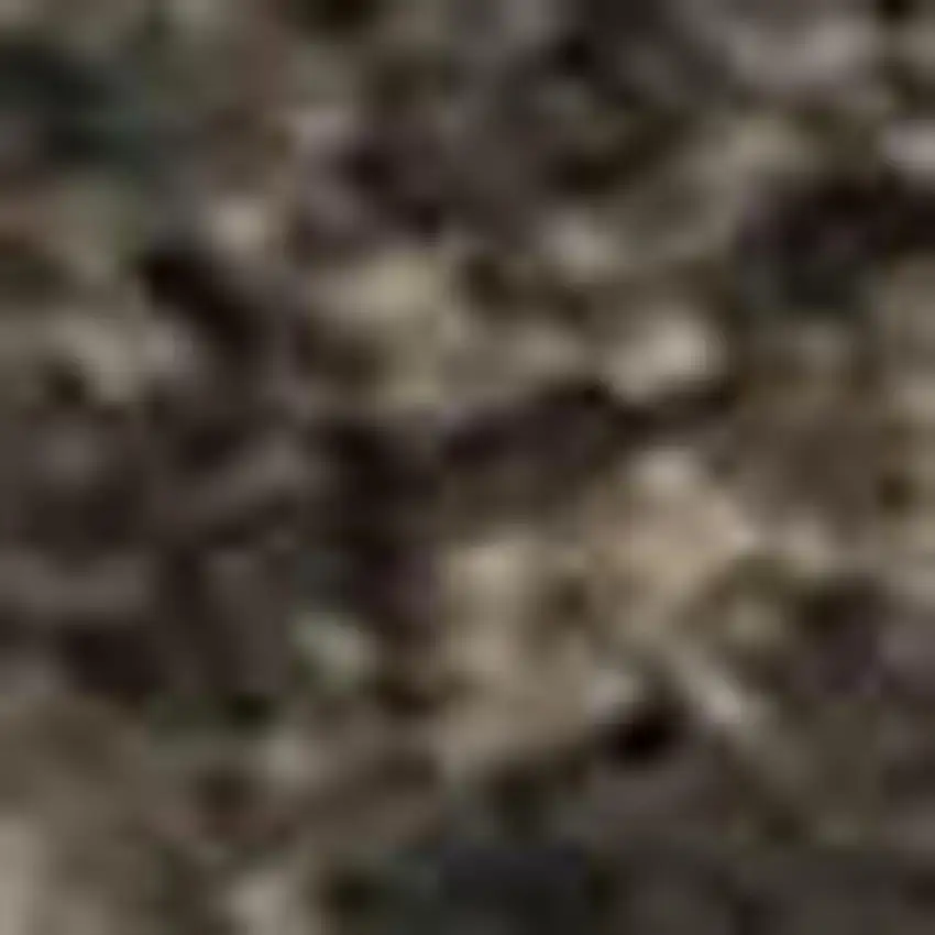 Ivory Beige And Charcoal Animal Print Washable Area Rug With UV Protection Photo 1