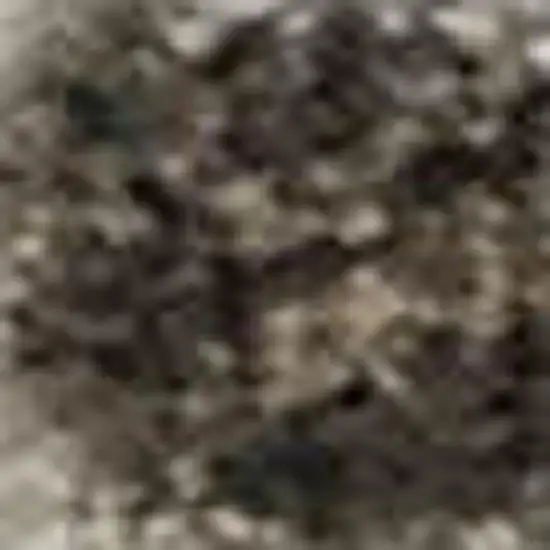 Ivory Beige And Charcoal Animal Print Washable Area Rug With UV Protection Photo 3