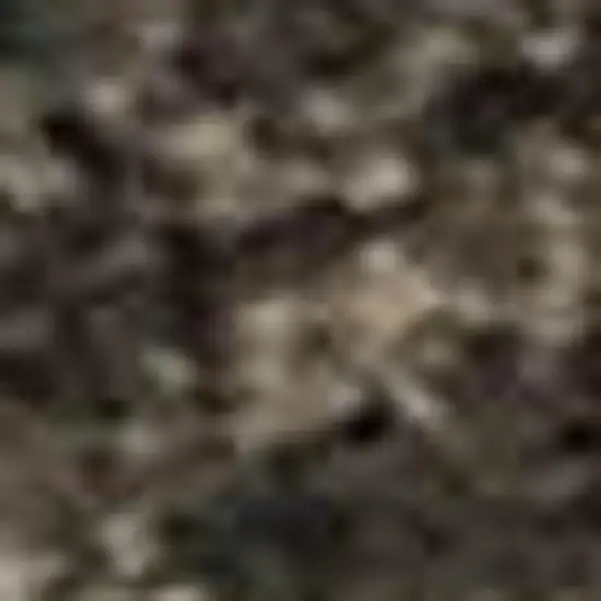 Ivory Beige And Charcoal Animal Print Washable Area Rug With UV Protection Photo 1