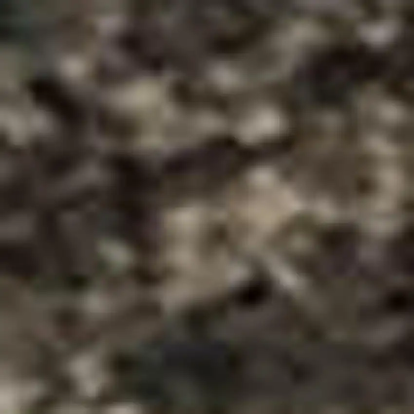 Ivory Beige And Charcoal Animal Print Washable Area Rug With UV Protection Photo 1