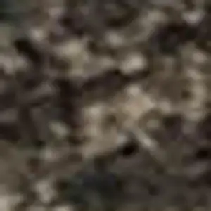 Photo of Ivory Beige And Charcoal Animal Print Washable Area Rug With UV Protection