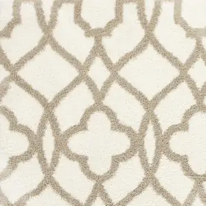 Photo of Ivory Beige Trellis Machine Woven Microfiber Indoor Area Rug