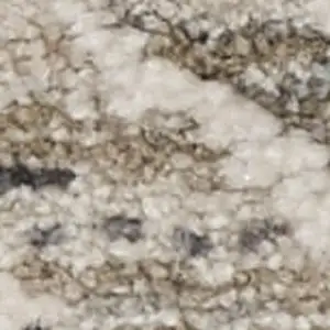 Photo of Ivory Black And Taupe Floral Area Rug With Fringe