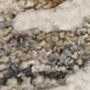 Photo of Ivory Black And Taupe Floral Distressed Area Rug With Fringe