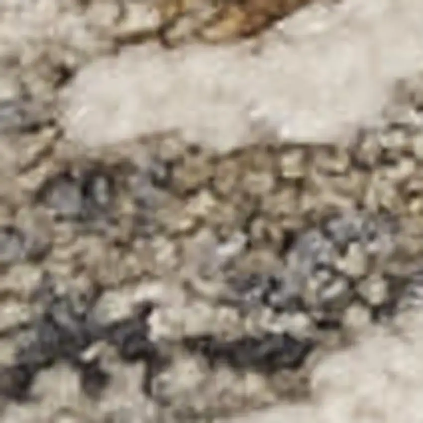 Ivory Black And Taupe Floral Distressed Area Rug With Fringe Photo 2