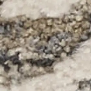 Photo of Ivory Black And Taupe Medallion Distressed Area Rug With Fringe