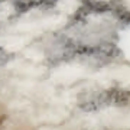 Ivory Black and Gray Abstract Non Skid Area Rug Photo 3