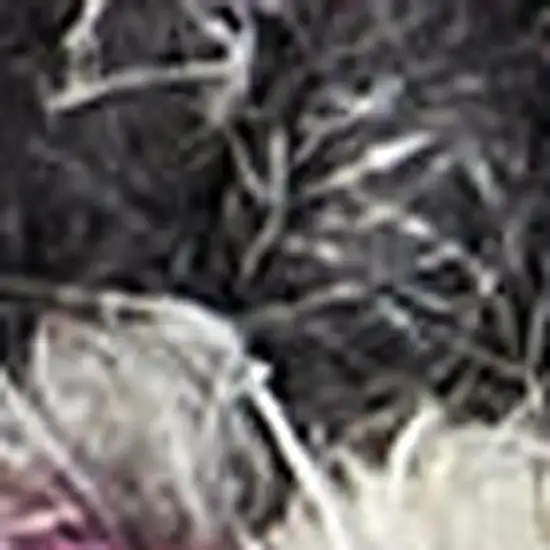 Ivory Black and Gray Wool Geometric Area Rug Photo 2