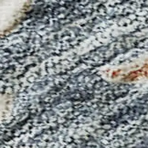 Photo of Ivory Blue And Coral Floral Washable Area Rug With UV Protection