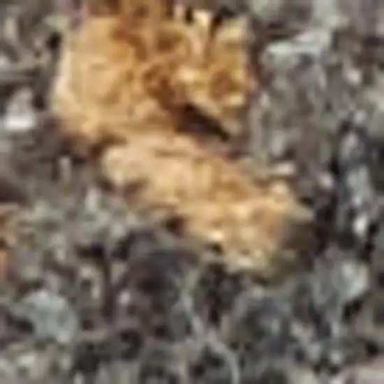 Ivory Blue And Gray Abstract Area Rug Photo 2