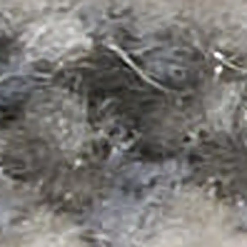 Ivory Blue And Gray Abstract Distressed Area Rug Photo 3