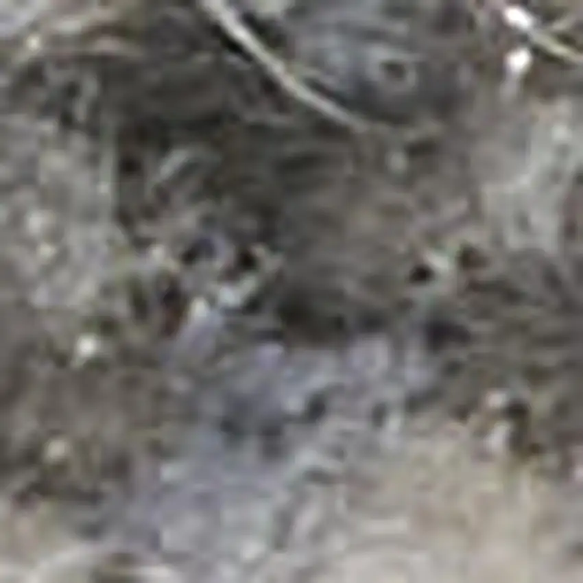 Ivory Blue And Gray Abstract Distressed Area Rug Photo 2