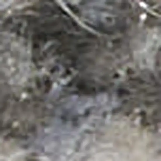 Ivory Blue And Gray Abstract Distressed Area Rug Photo 2