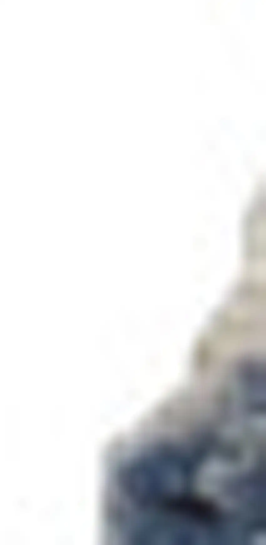 Ivory Blue And Gray Medallion Shag Non Skid Area Rug Photo 6