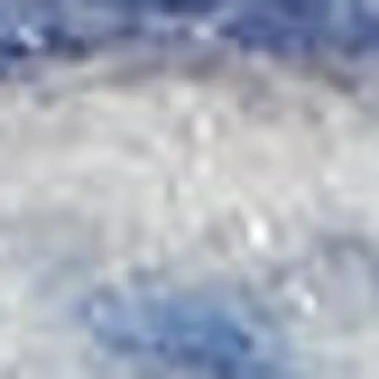 Ivory Blue and Gray Floral Medallion Distressed Non Skid Area Rug Photo 1