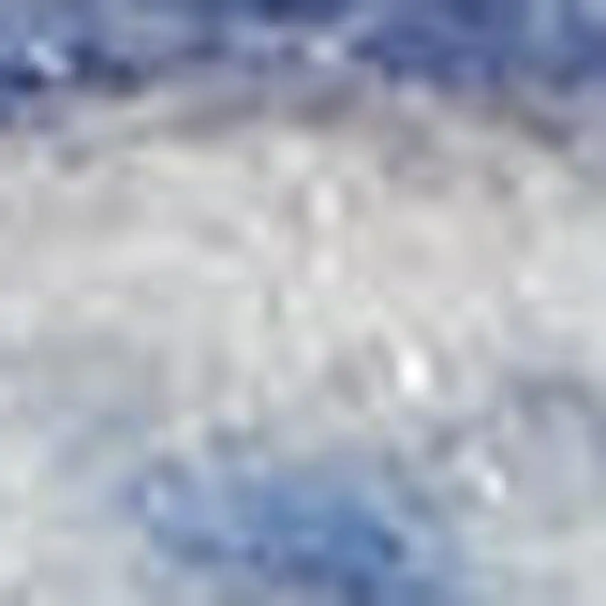 Ivory Blue and Gray Floral Medallion Distressed Non Skid Area Rug Photo 1