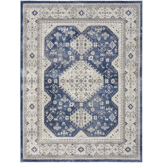 Blue And Gray Medallion Area Rug Photo 1