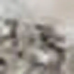 Photo of Ivory Brown And Gray Geometric Distressed Area Rug With Fringe