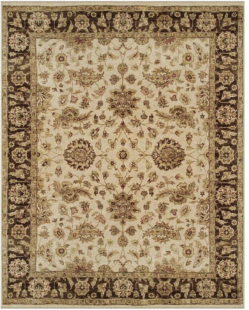 Ivory Brown and Gold Wool Oriental Hand Knotted Area Rug Photo 2