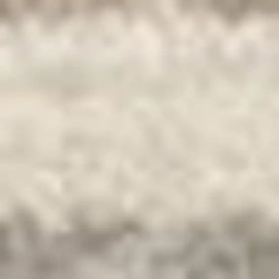 Ivory Charcoal and Taupe Abstract Distressed Non Skid Area Rug Photo 4