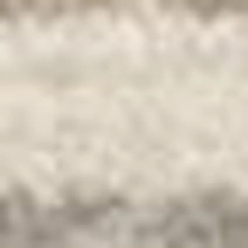 Ivory Charcoal and Taupe Abstract Distressed Non Skid Area Rug Photo 4