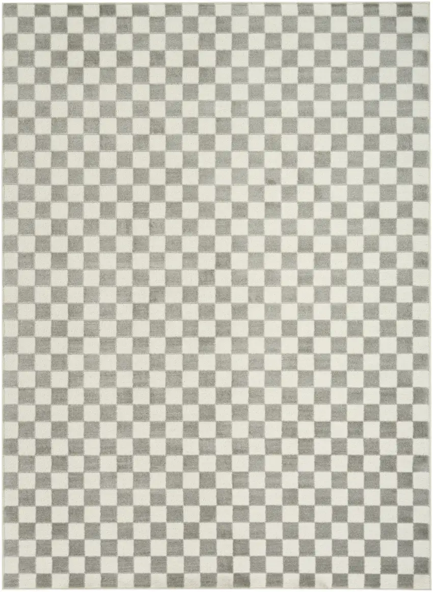 Ivory Checkered Area Rug Photo 9