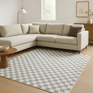 Photo of Ivory Checkered Area Rug