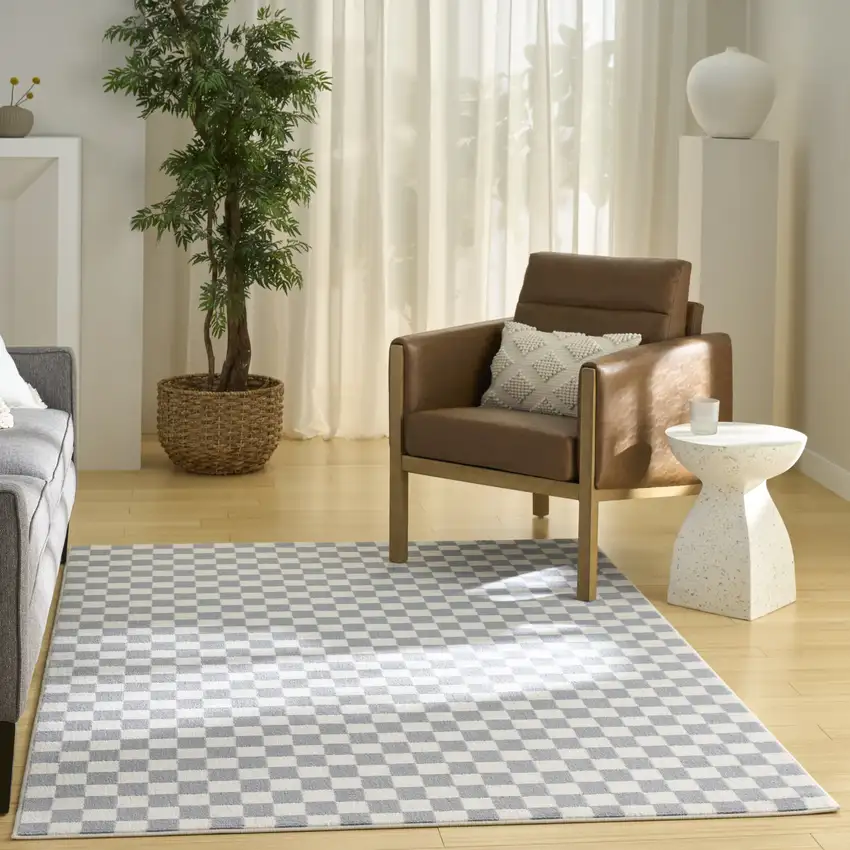 Ivory Checkered Area Rug Photo 4