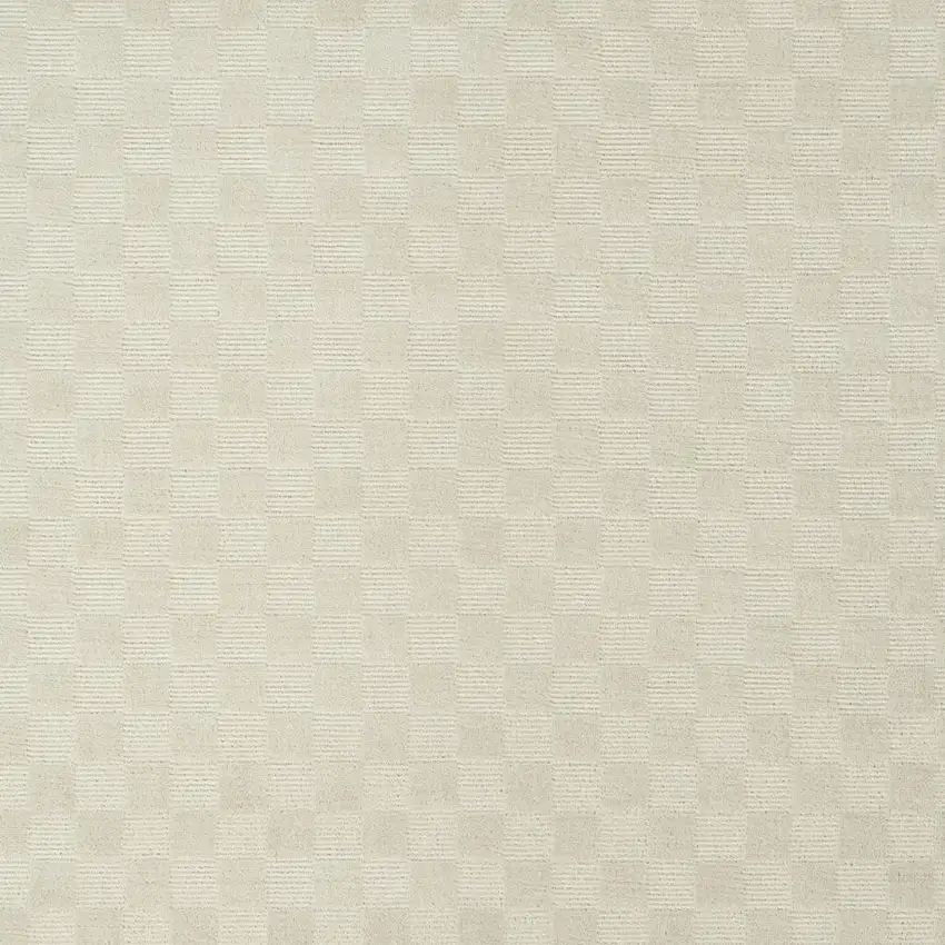 Ivory Checkered Area Rug Photo 3