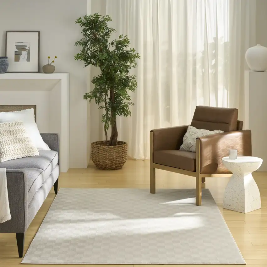 Ivory Checkered Area Rug Photo 6