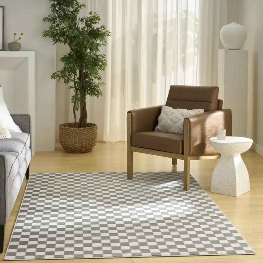 Ivory Checkered Area Rug Photo 6