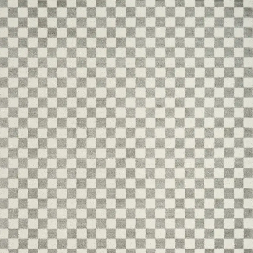 Ivory Checkered Area Rug Photo 9