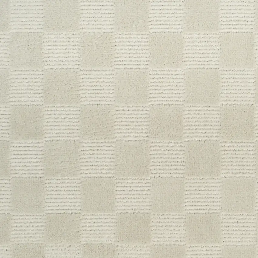 Ivory Checkered Area Rug Photo 8