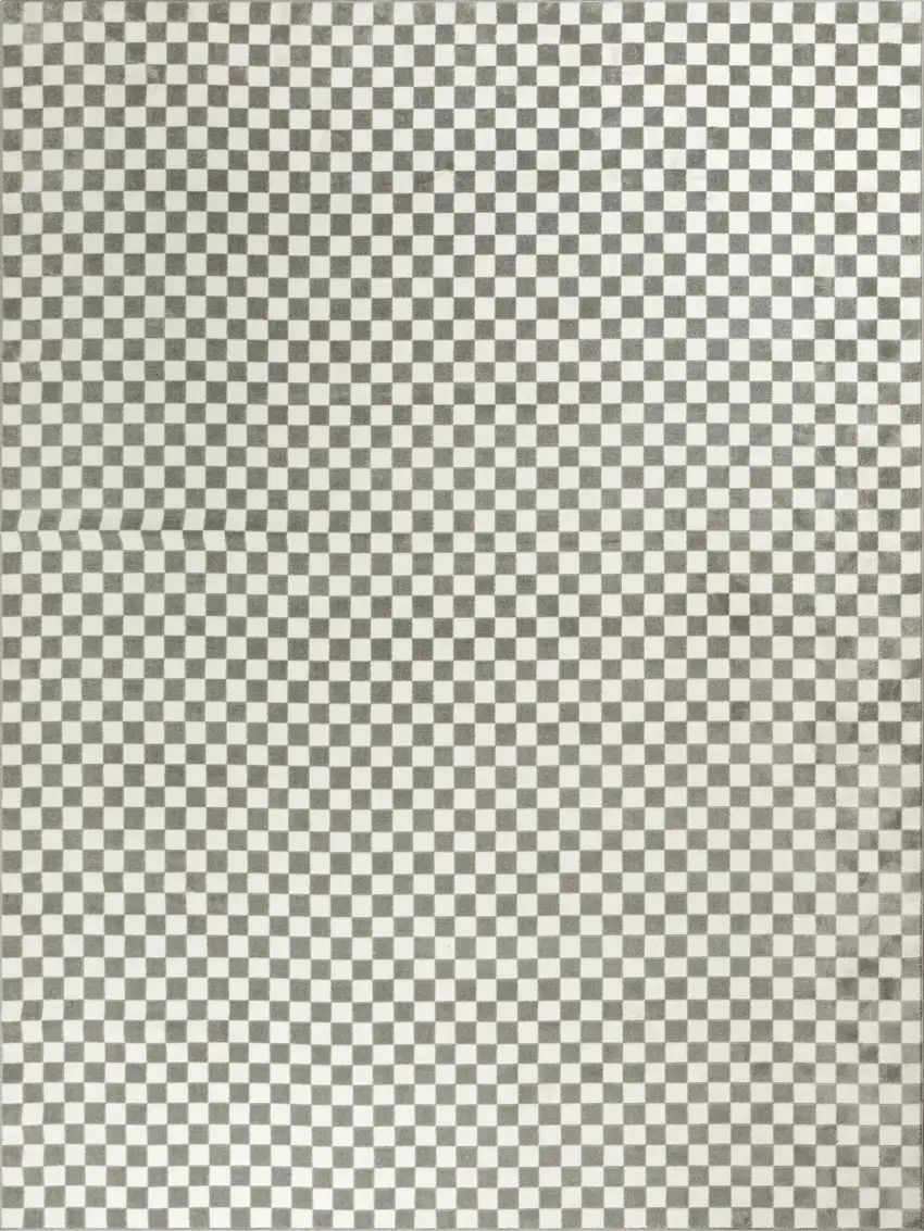 Ivory Checkered Area Rug Photo 7